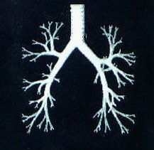 My New Lungs